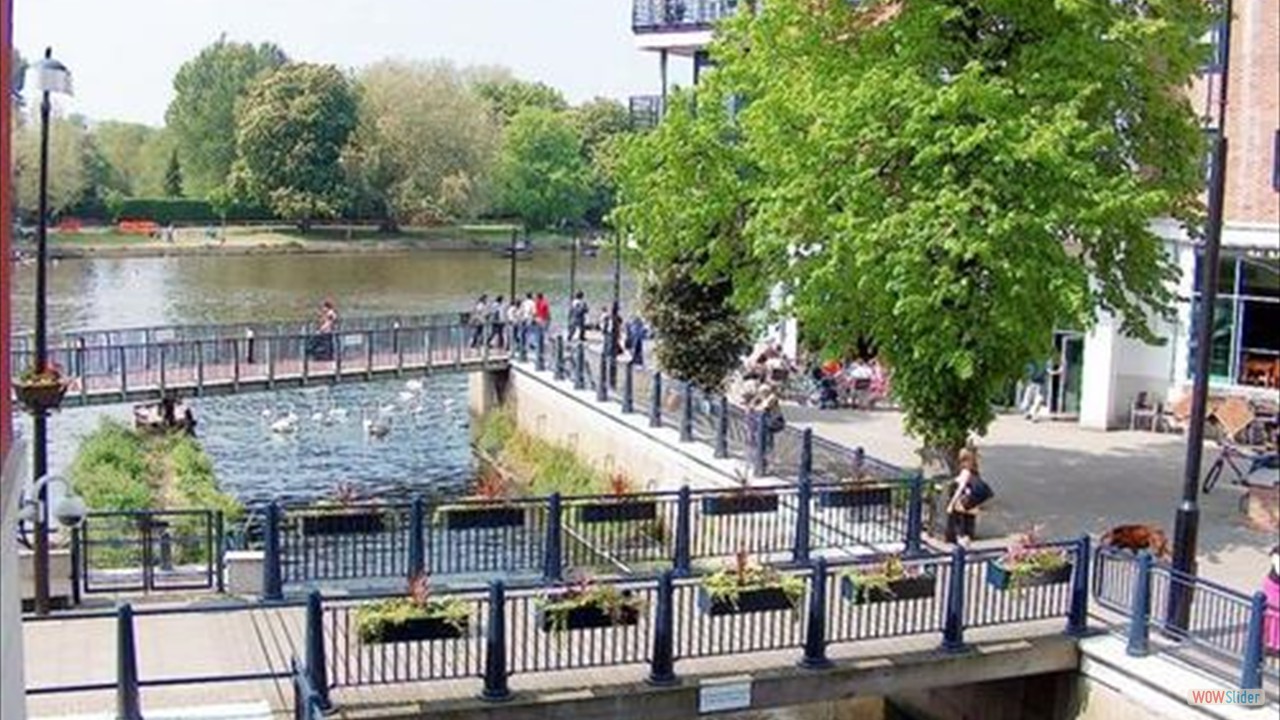 Stream and its bridges